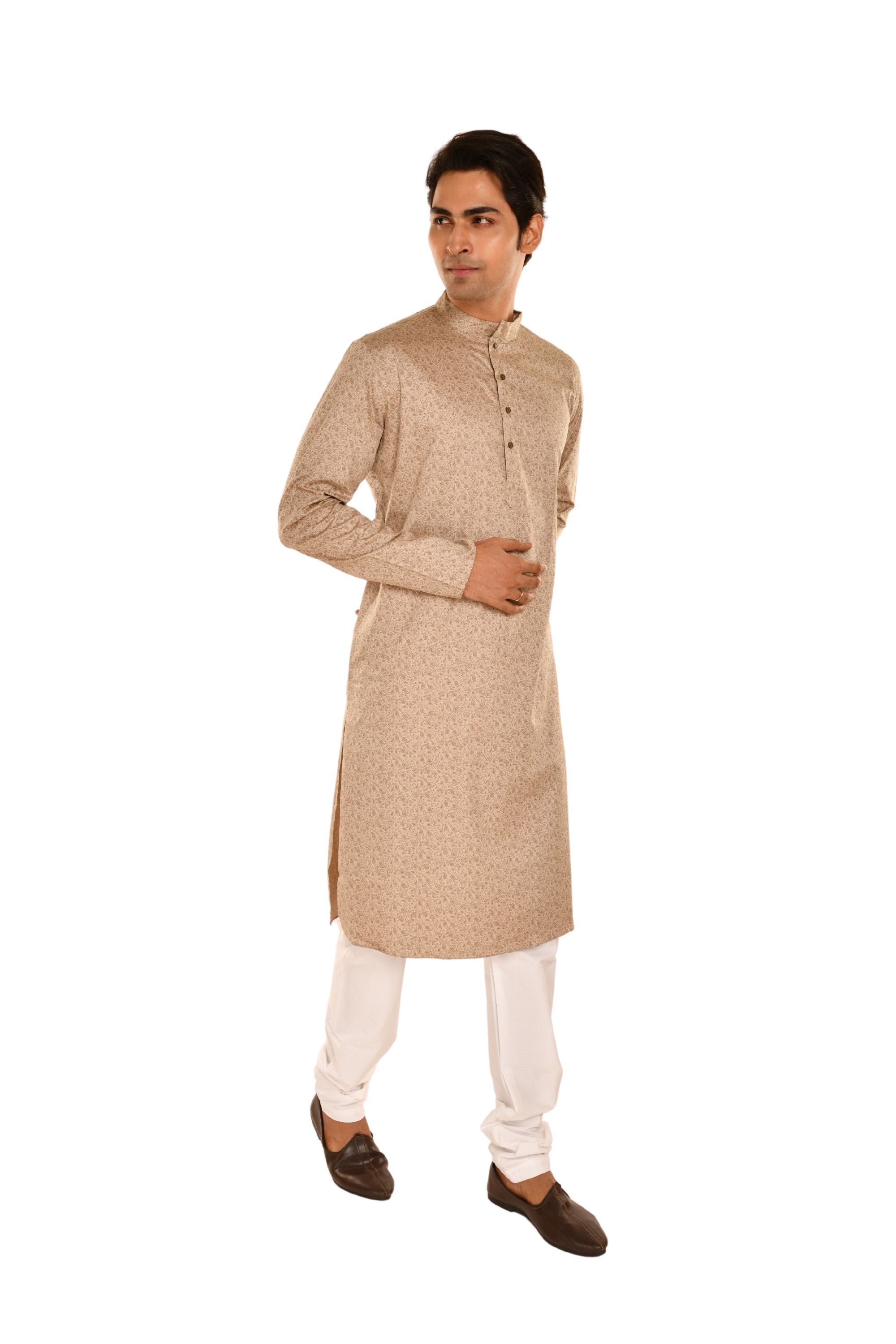 Ethnic Motif Printed Cream and Brown Kurta