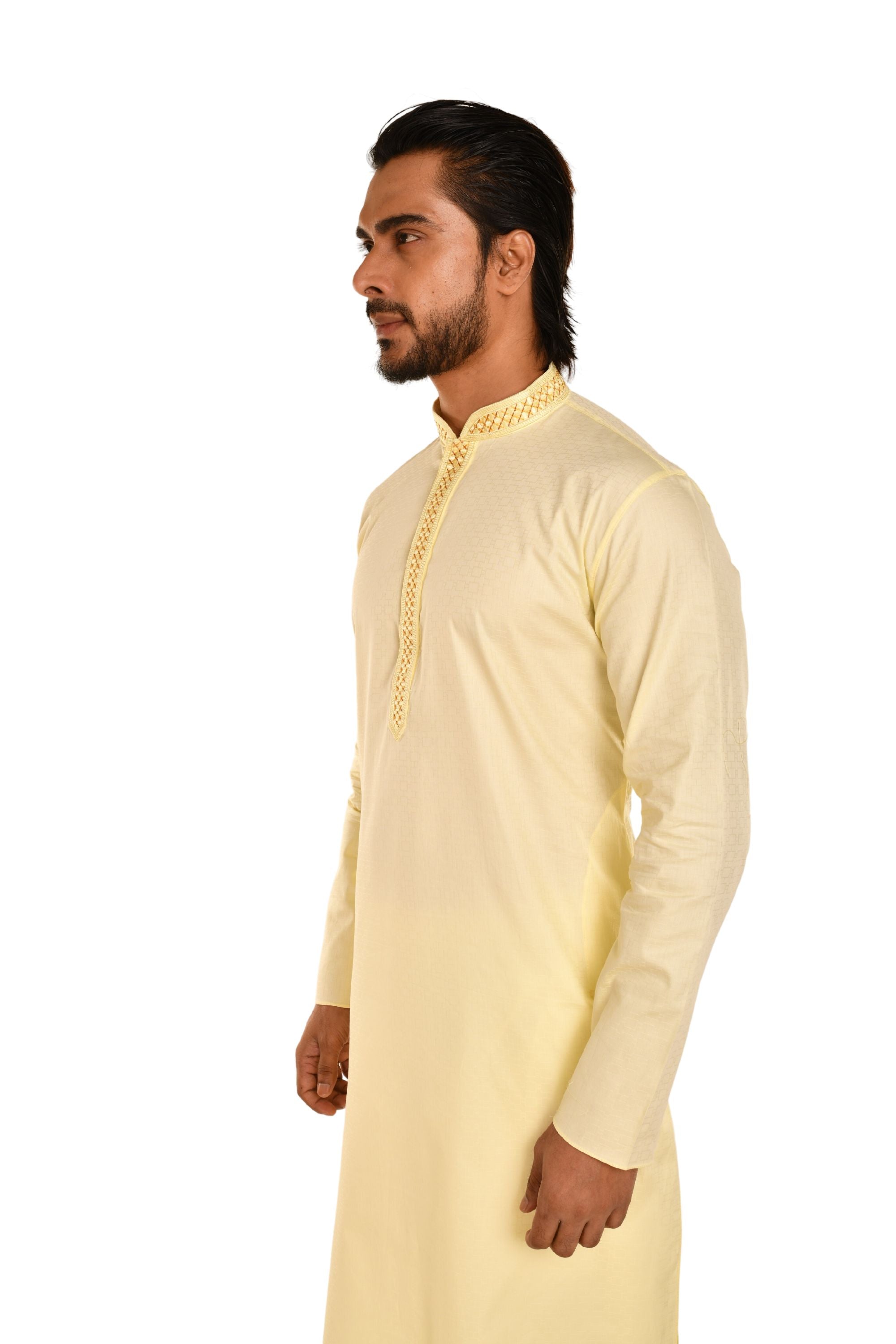 Delicate Neck Embroidered Cotton Kurta