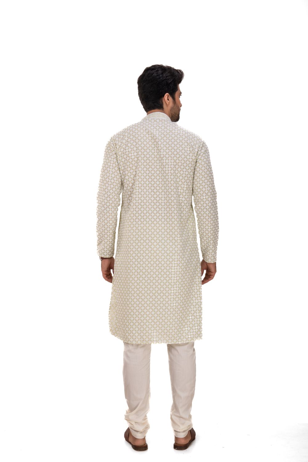 Lucknavi Chikankari Embroidered Kurta Set