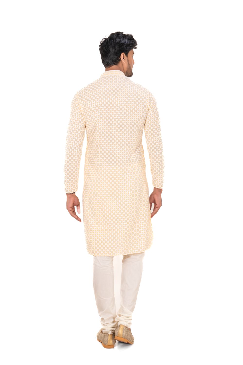 Lucknavi Chikankari Embroidered Kurta Set