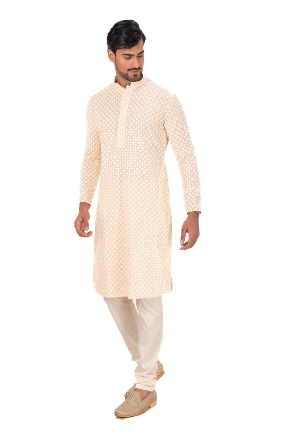 Lucknavi Chikankari Embroidered Kurta Set